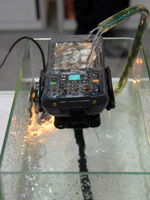 �������Wչ������